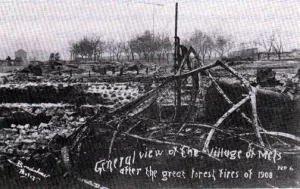 After the 1908 Metz Forest Fire