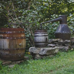 Michigan Goes Dry. Michigan enacted prohibition—two years before the national ban. Learn how it led to speakeasies, bootlegging, and organized crime.