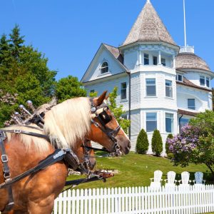 On July 6, 1898, Mackinac Island banned cars to protect horses. 126 years later, it's still a peaceful, car-free slice of Michigan history.