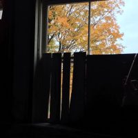 Traverse City State Hospital Tour