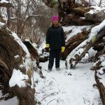 Hippie Tree in Winter Traverse City State Hospital trail