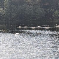 Rugg Pond Dam Natural Area Kalkaska County