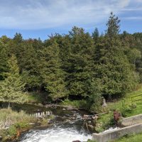 Rugg Pond Dam Natural Area Kalkaska County