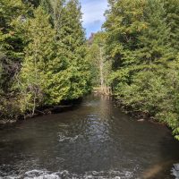 Rugg Pond Dam Natural Area Kalkaska County
