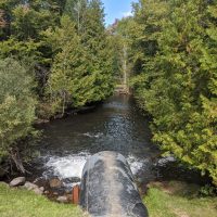 Rugg Pond Dam Natural Area Kalkaska County