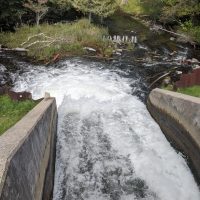 Rugg Pond Dam Natural Area Kalkaska County