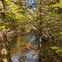 Rugg Pond Dam Natural Area Kalkaska County
