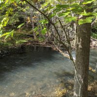 Rugg Pond Dam Natural Area Kalkaska County