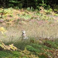 Rugg Pond Dam Natural Area Kalkaska County