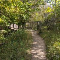 Seven Bridges Natural Area Kalkaska County