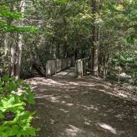 Seven Bridges Natural Area Kalkaska County