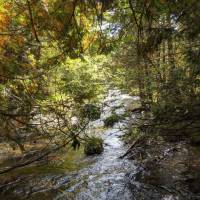 Seven Bridges Natural Area Kalkaska County