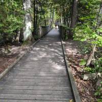 Seven Bridges Natural Area Kalkaska County