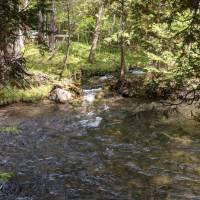 Seven Bridges Natural Area Kalkaska County