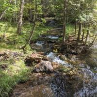 Seven Bridges Natural Area Kalkaska County
