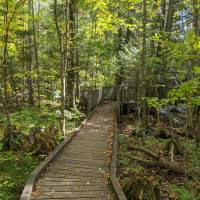 Seven Bridges Natural Area Kalkaska County