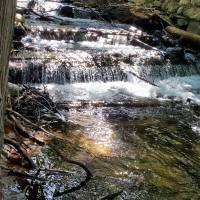 Seven Bridges Natural Area Kalkaska County