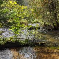 Seven Bridges Natural Area Kalkaska County