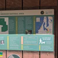 Seven Bridges Natural Area Kalkaska County