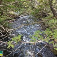 Seven Bridges Natural Area Kalkaska County