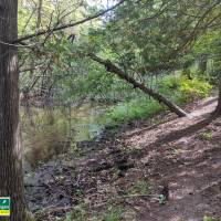 Seven Bridges Natural Area Kalkaska County
