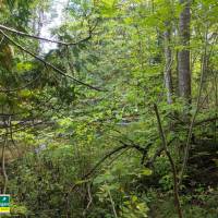 Seven Bridges Natural Area Kalkaska County