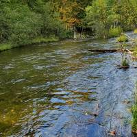 Seven Bridges Natural Area Kalkaska County