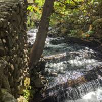 Seven Bridges Natural Area Kalkaska County