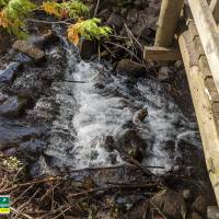 Seven Bridges Natural Area Kalkaska County