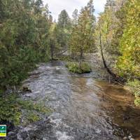 Seven Bridges Natural Area Kalkaska County